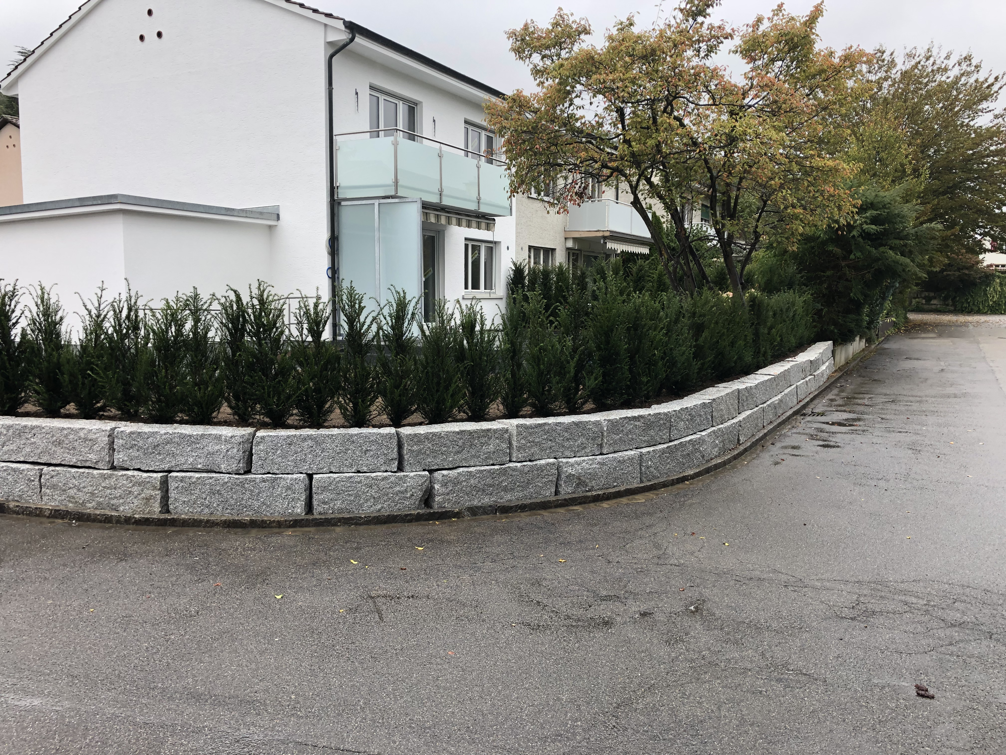 Geschwungene Granitmauer mit frischer Thujahecke