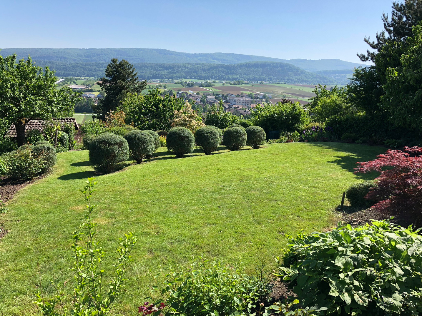 Gepflegter Garten mit Buchsbaum-Formschnitt und Panoramaaussicht